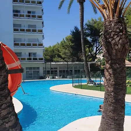 Tu Ideal En Nueva Andalucia Marbella